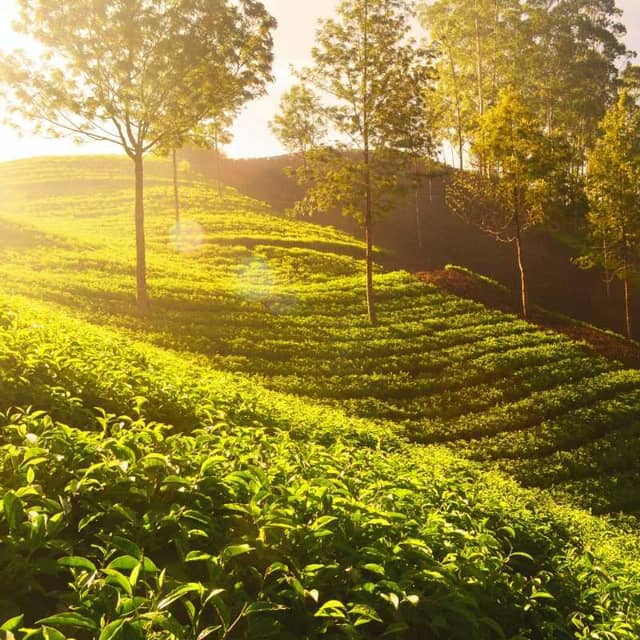 Chikmagalur
