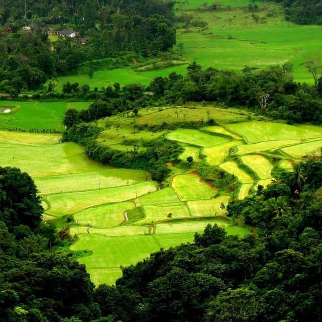 Coorg