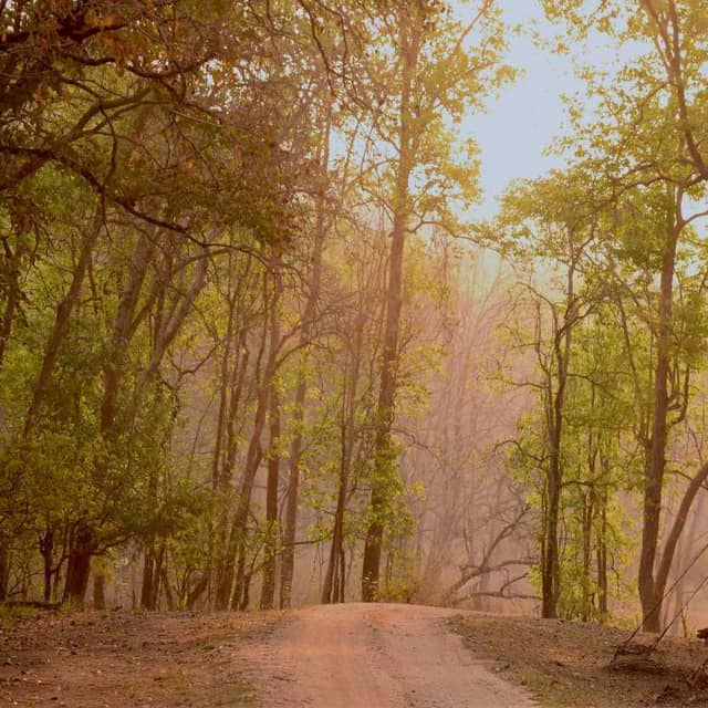 Kanha National Park