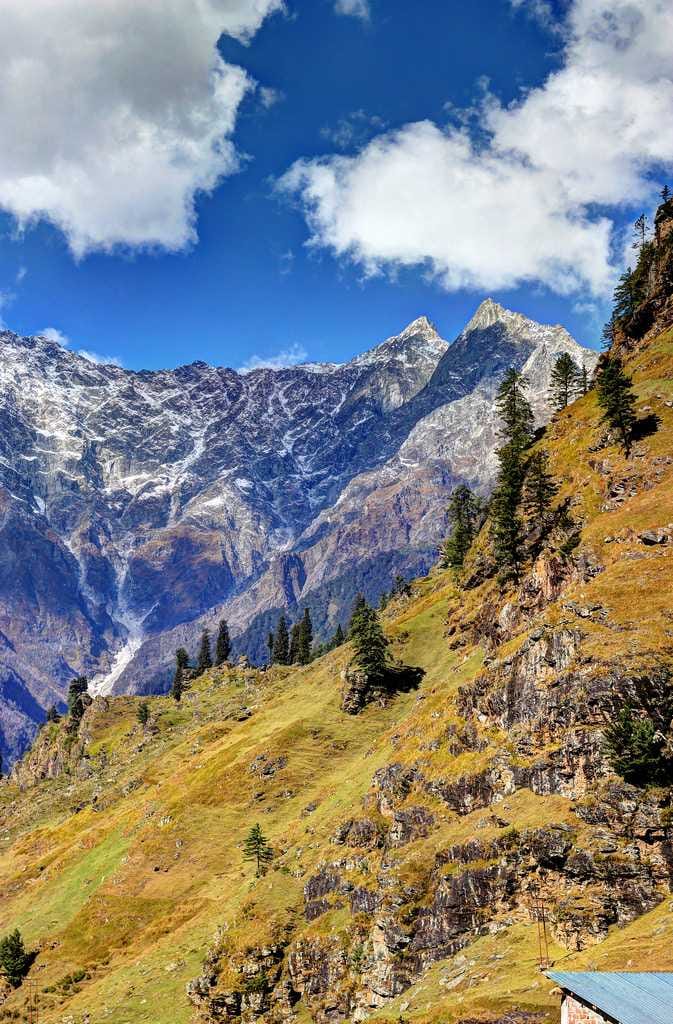 Snowy Retreat in Manali
