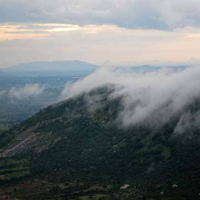 Nandi Hills