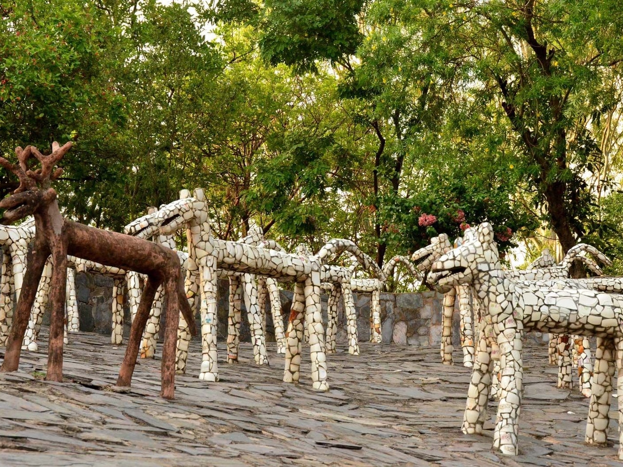Hidden Gems Near Chandigarh (Less Crowded Places for a Peaceful Escape)