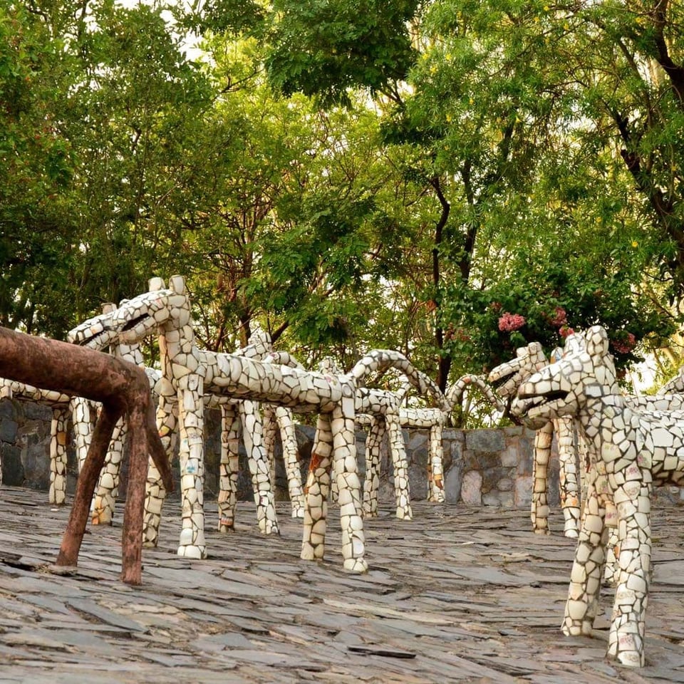 Hidden Gems Near Chandigarh (Less Crowded Places for a Peaceful Escape)