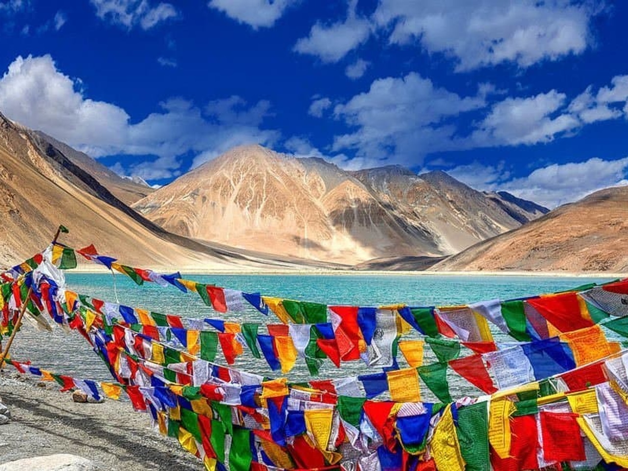 The Best Road Trip Routes for Groups Who Love Adventure