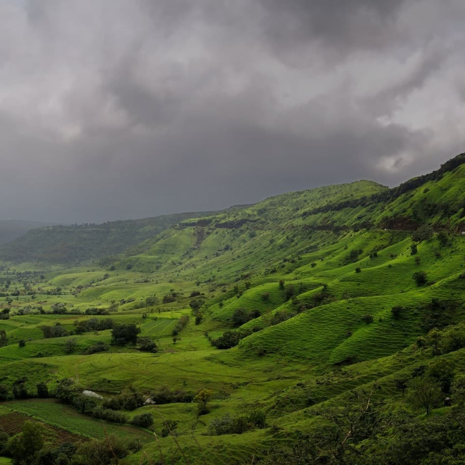 Best Places To Visit in Monsoon in India (2026 Guide)
