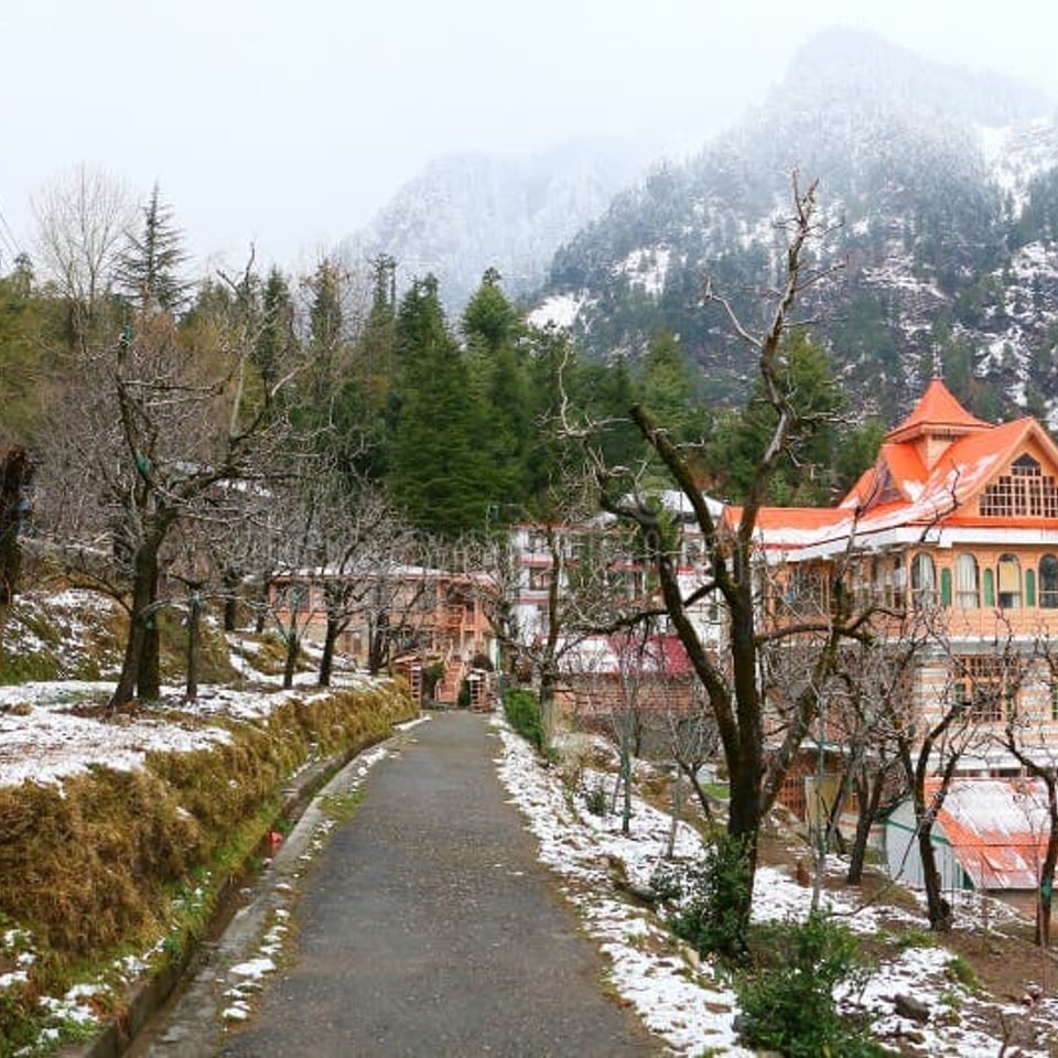 Who Is Traveling to Manali This December? Budgets, Dates & Travel Styles Explained