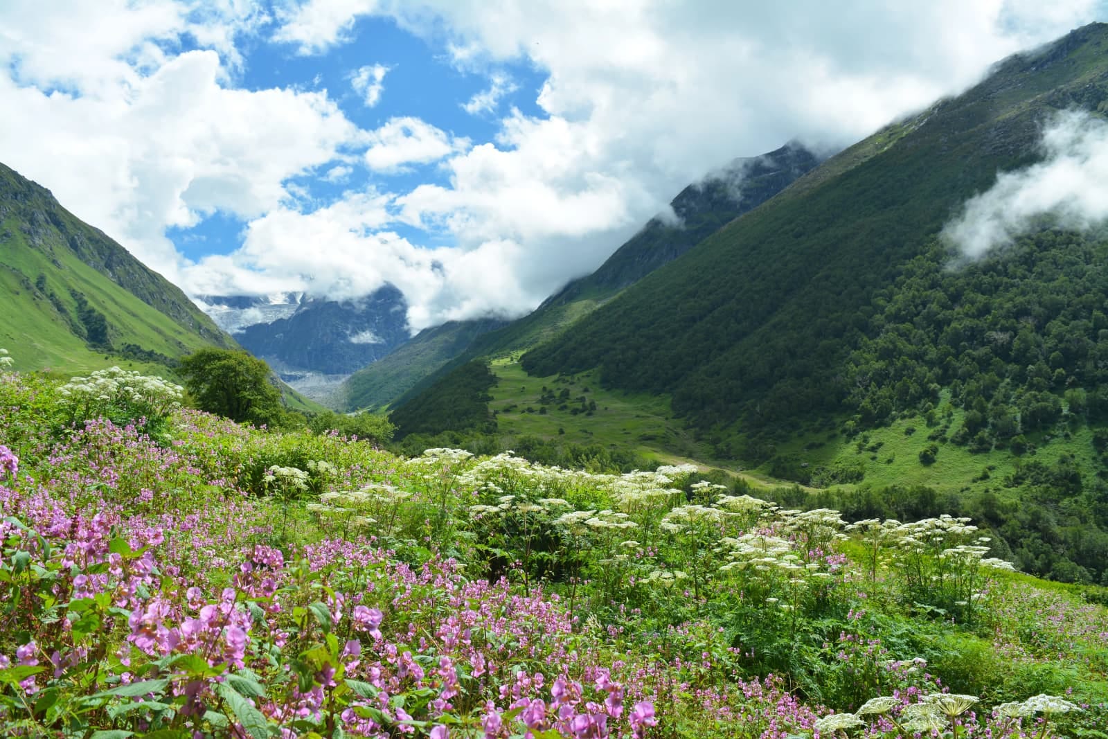 Best Beginner Treks in India (2026): 12 Easy Himalayan Treks for First-Timers