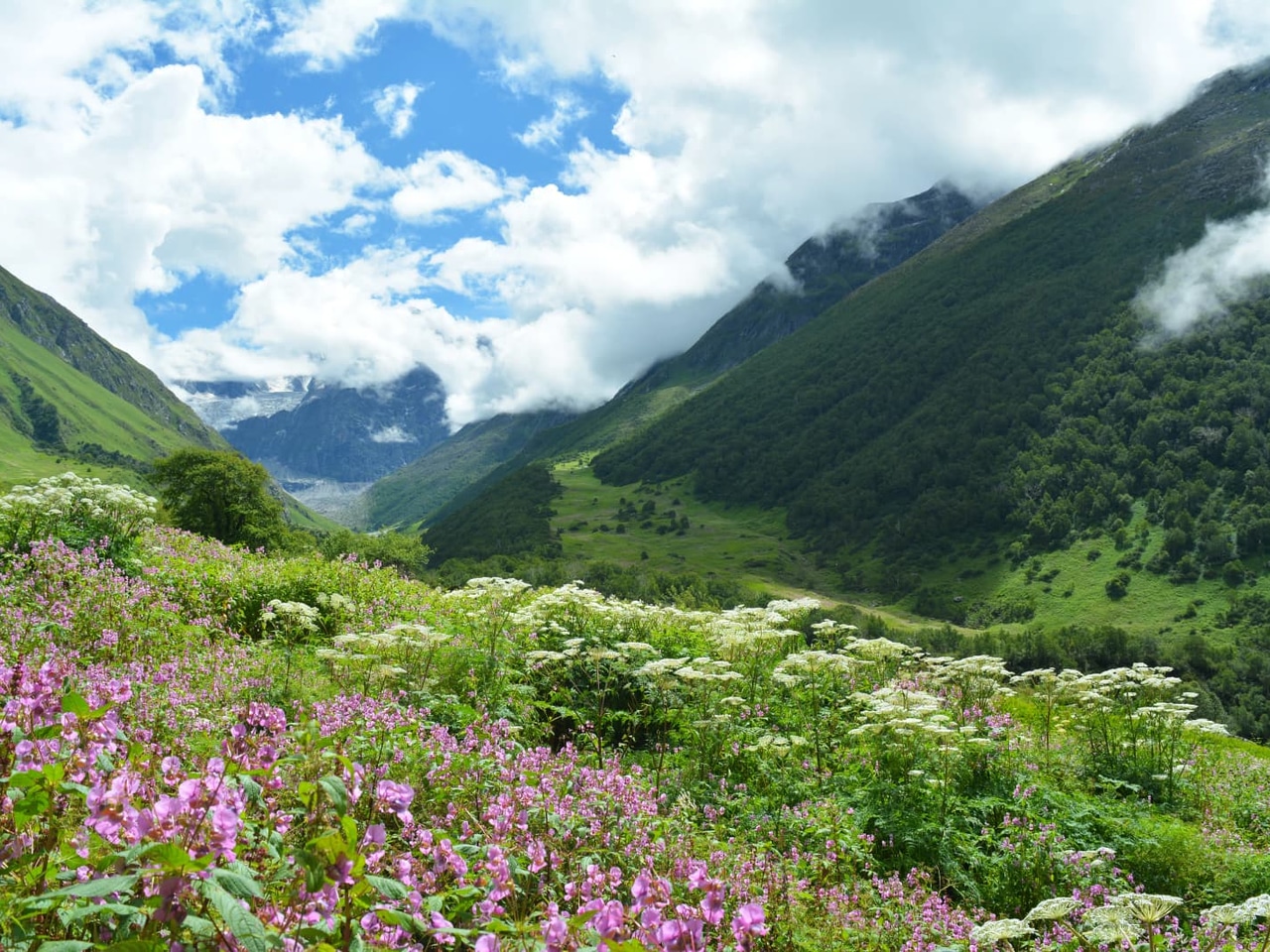 Best Beginner Treks in India (2026): 12 Easy Himalayan Treks for First-Timers