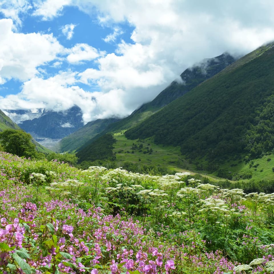 Best Beginner Treks in India (2026): 12 Easy Himalayan Treks for First-Timers