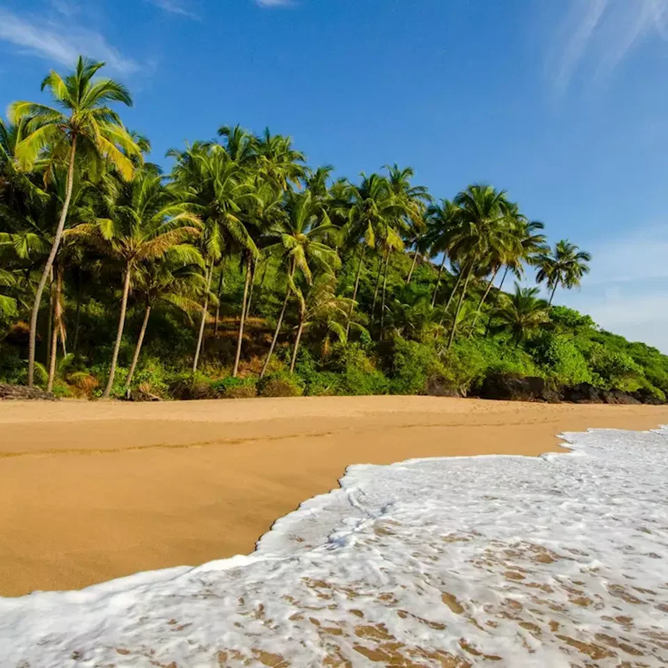 First-Time Goa Trip in December? Read This Before Booking Anything