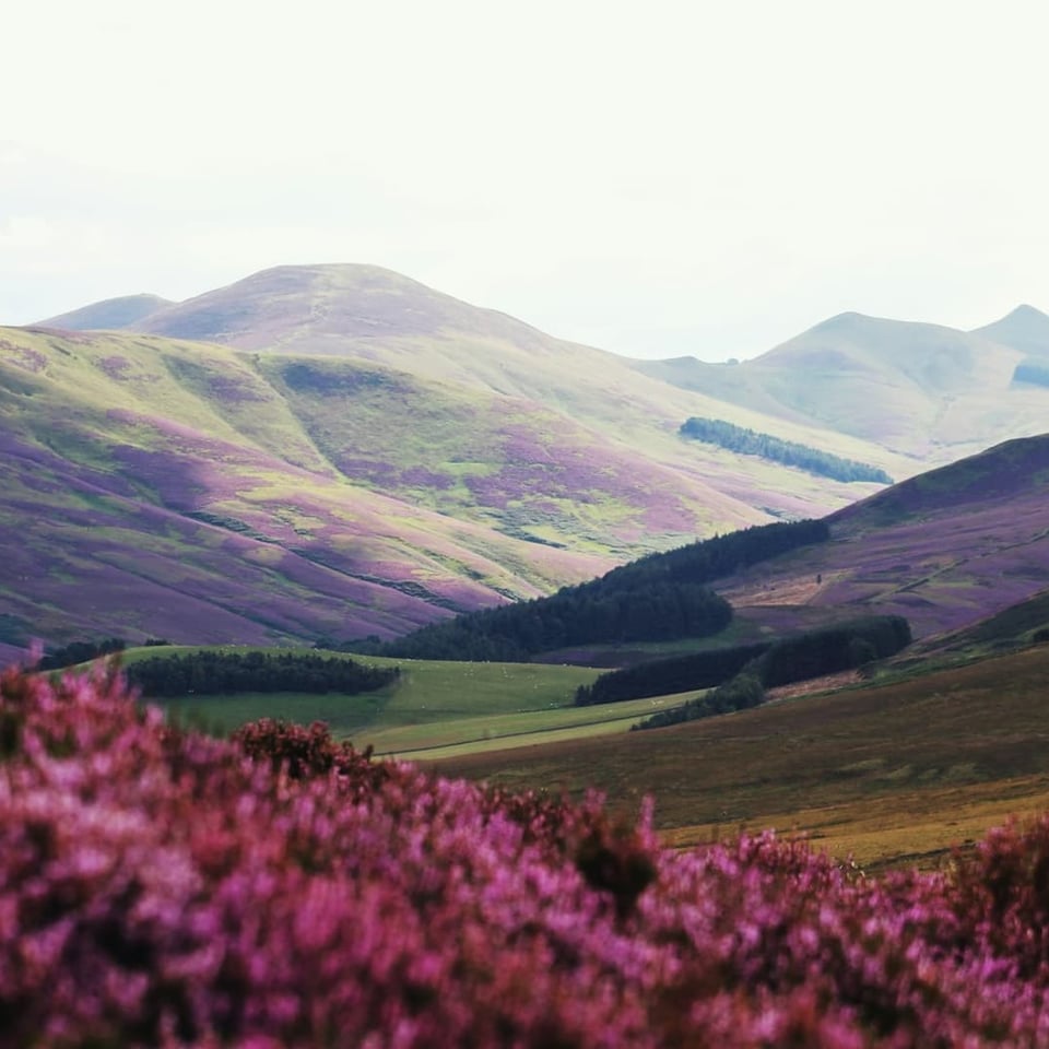 Valley of Flowers Trek 2026: How to Find a Group and Split the Cost